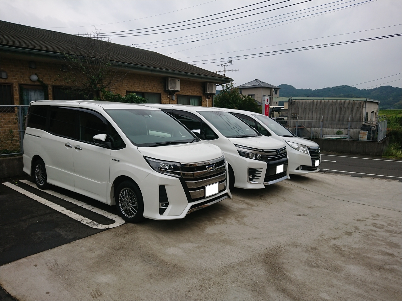 代表により厳選された新車・中古車が並ぶ